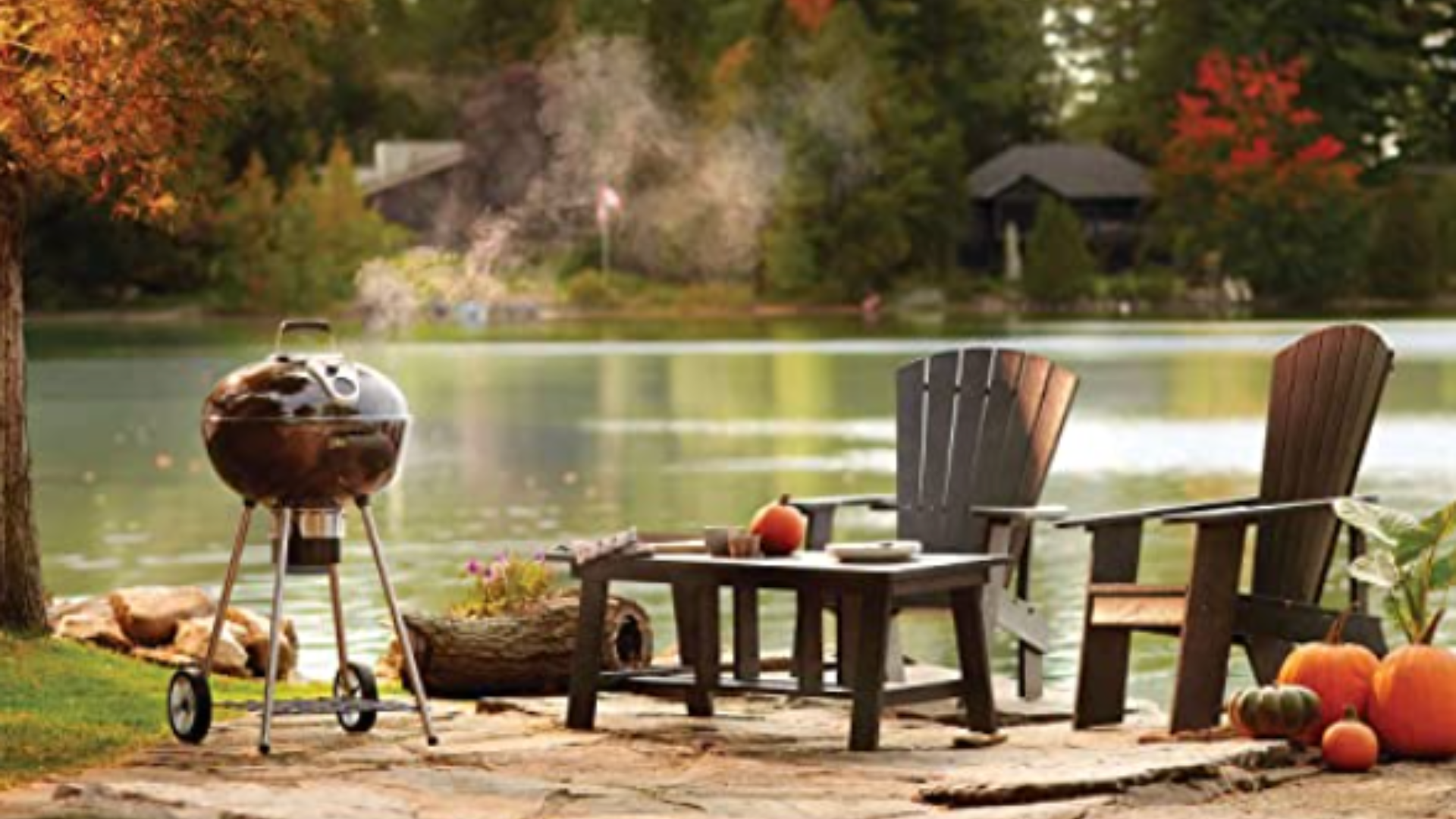 NAPOLEON - ASADOR DE CARBÓN