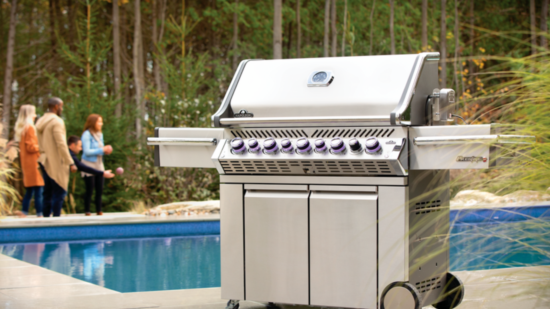 NAPOLEON - ASADOR DE GAS