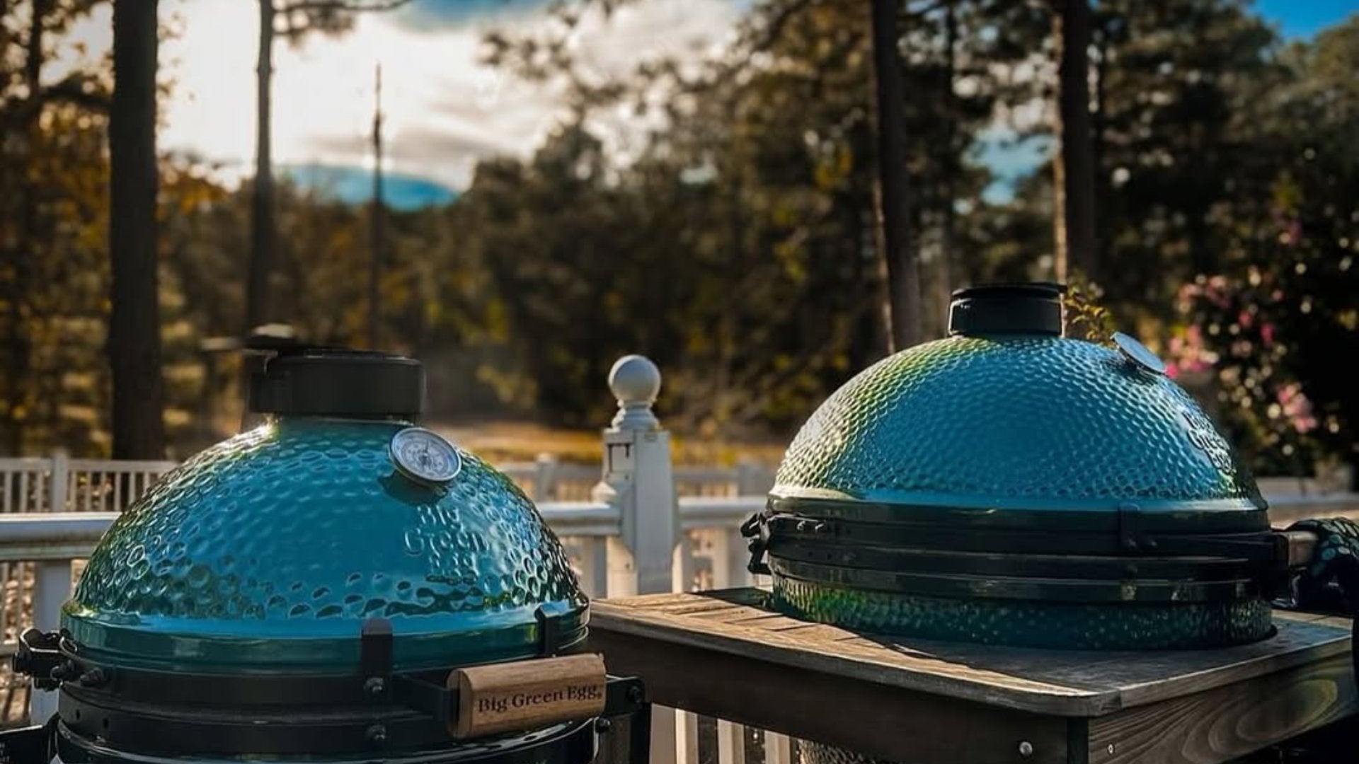 BIG GREEN EGG